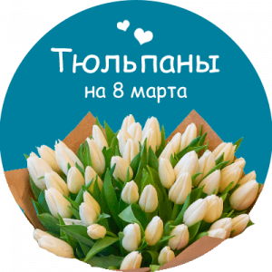 Купить тюльпаны в Сосногорске